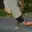 Route Simulation