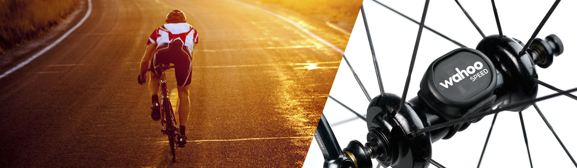 Bike Sensors with Wireless and Bluetooth Technology Wahoo