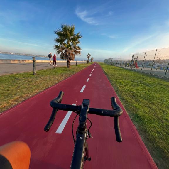 Community photo shared with #Wahooligan