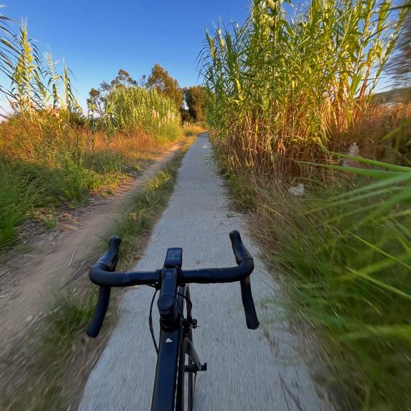 Community photo shared with #Wahooligan