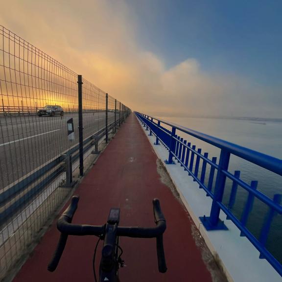 Community photo shared with #Wahooligan