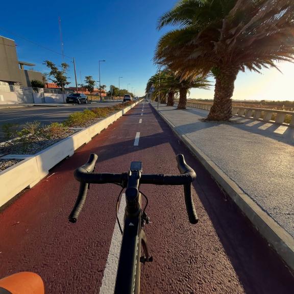 Community photo shared with #Wahooligan